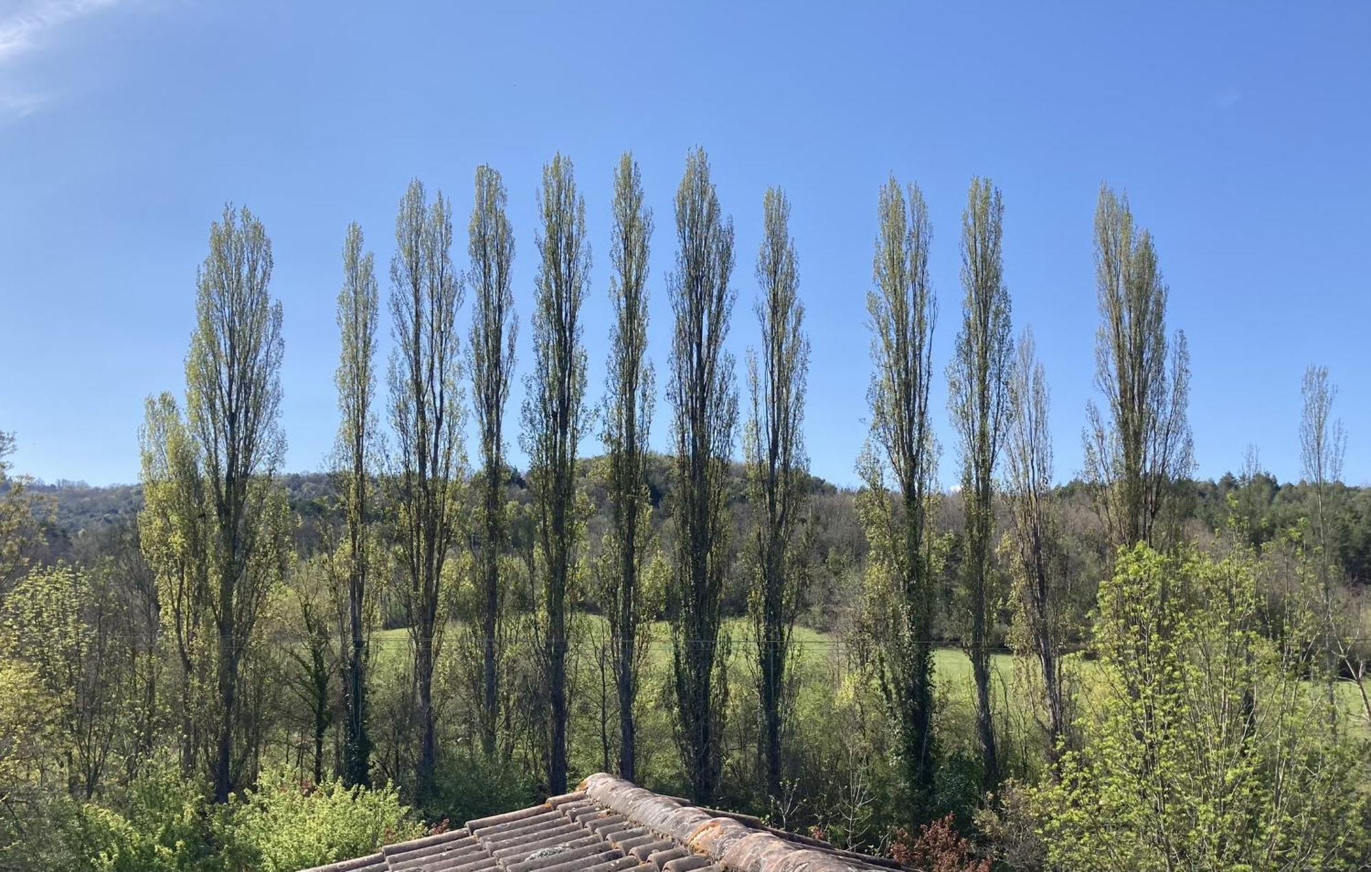 Les Deux Chevaux D'hotes *